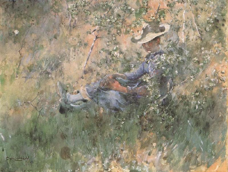 Girl Among the Hawthorn Blossoms, Carl Larsson